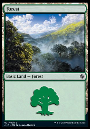 (071) Magic The Gathering Jumpstart Single: Forest (V.2) Holo Land
