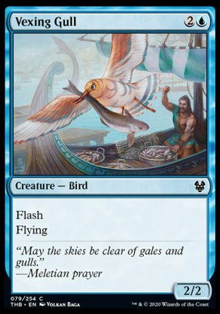 (079/254) Magic The Gathering Theros Beyond Death Single: Vexing Gull Holo Common