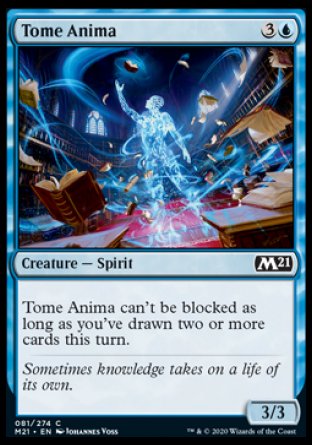 (081) Magic The Gathering Core 2021 Single: Tome Anima  Common