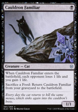(081/269) Magic The Gathering Throne of Eldraine Single: Cauldron Familiar  Uncommon