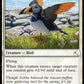 (088) Magic The Gathering Magic: The Gathering | Avatar: The Last Airbender: Eternal Single: Toucan-Puffin Holo Common