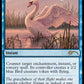 (091) Magic The Gathering Secret Lair Drop Series Single: Swan Song  Rare