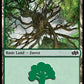 (095) Magic The Gathering Foundations Jumpstart Single: Forest (V.3)  Land