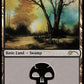 (104) Magic The Gathering Secret Lair Drop Series Single: Swamp (V.2)  Land