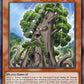 (040) YuGiOh TCG PGL2: Premium Gold 2 Single: Sylvan Sagequoia  Gold Rare