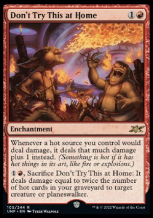 (105) Magic The Gathering Unfinity Single: Don't Try This at Home  Rare