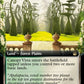 (1072) Magic The Gathering Universes Beyond: Doctor Who: Extras Single: Canopy Vista (V.3)  Rare