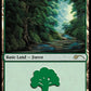 (108) Magic The Gathering Secret Lair Drop Series Single: Forest (V.2) Holo Land