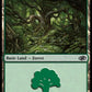 (110) Magic The Gathering Jumpstart 2022 Single: Forest (V.1)  Land