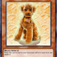 (062) YuGiOh TCG DCR: Dark Crisis Single: Outstanding Dog Marron (V.1 - Common)  Common