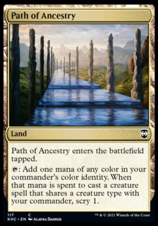 (117) Magic The Gathering Commander: Kaldheim Single: Path of Ancestry  Common