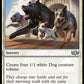 (127) Magic The Gathering Commander: Tarkir: Dragonstorm Single: Release the Dogs  Uncommon