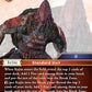 (012) Final Fantasy TCG Opus XIV: Crystal Abyss Single: Kojin (14-012)  Common