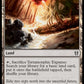 (142) Magic The Gathering Commander: Zendikar Rising Single: Terramorphic Expanse  Common