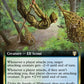 (144) Magic The Gathering Commander: The Lord of the Rings: Tales of Middle-earth: Extras Single: Mirkwood Trapper  Rare