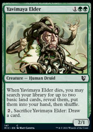 (147) Magic The Gathering Commander: Innistrad: Midnight Hunt Single: Yavimaya Elder  Common