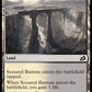 (154/274) Magic The Gathering Ikoria: Lair of Behemoths Single: Fully Grown Holo Common