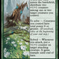 (156) Magic The Gathering Murders at Karlov Manor Single: Case of the Trampled Garden Holo Uncommon