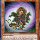 (099) YuGiOh TCG ABPF: Absolute Powerforce Single: Shield Worm  Rare