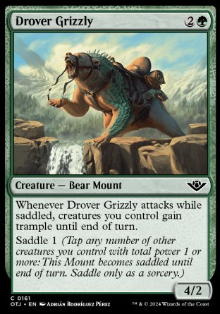 (161) Magic The Gathering Outlaws of Thunder Junction Single: Drover Grizzly  Holo Common