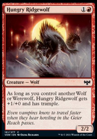 (161) Magic The Gathering Innistrad: Crimson Vow Single: Hungry Ridgewolf Holo Common