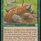 (246) Magic The Gathering The List Single: Food Chain  Rare