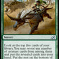 (163/274) Magic The Gathering Ikoria: Lair of Behemoths Single: Lead the Stampede  Uncommon