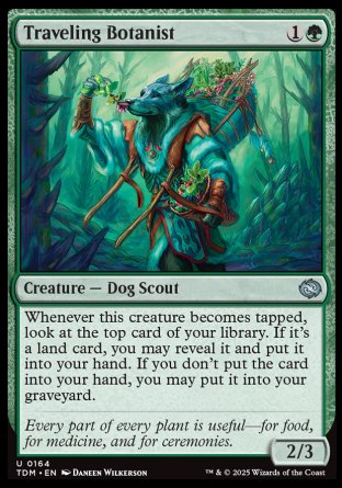 (164) Magic The Gathering Tarkir: Dragonstorm Single: Traveling Botanist Holo Uncommon