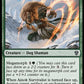 (165) Magic The Gathering Commander: Murders at Karlov Manor Single: Ainok Survivalist  Uncommon