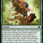 (167) Magic The Gathering Bloomburrow Single: Cache Grab Holo Common