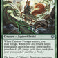 (169) Magic The Gathering Bloomburrow Single: Curious Forager Holo Uncommon