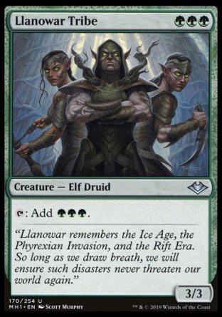 (170/254) Magic The Gathering Modern Horizons Single: Llanowar Tribe Holo Uncommon