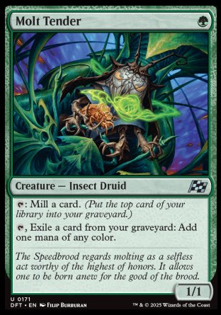 (171) Magic The Gathering Aetherdrift Single: Molt Tender  Uncommon