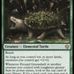 (171) Magic The Gathering Bloomburrow Single: Fecund Greenshell Holo Rare
