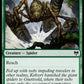 (172/285) Magic The Gathering Kaldheim Single: Gnottvold Recluse  Common