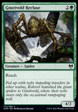 (172/285) Magic The Gathering Kaldheim Single: Gnottvold Recluse  Common