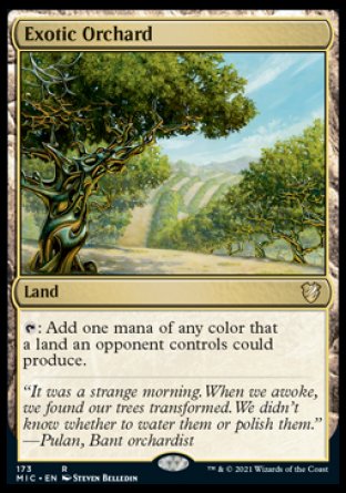 (173) Magic The Gathering Commander: Innistrad: Midnight Hunt Single: Exotic Orchard  Rare