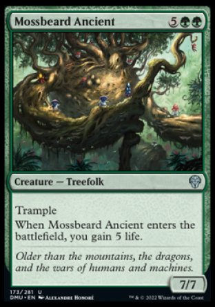 (173) Magic The Gathering Dominaria United Single: Mossbeard Ancient Holo Uncommon