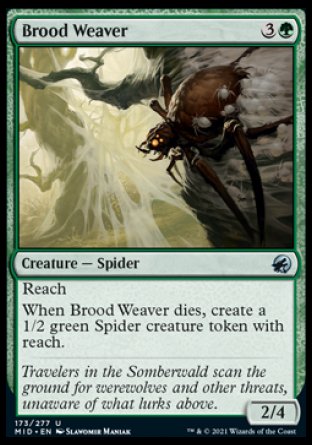 (173) Magic The Gathering Innistrad: Midnight Hunt Single: Brood Weaver  Uncommon