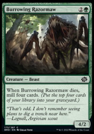 (173) Magic The Gathering The Brothers' War Single: Burrowing Razormaw  Common