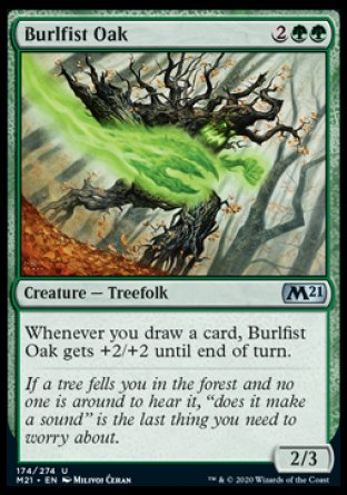 (174) Magic The Gathering Core 2021 Single: Burlfist Oak  Uncommon