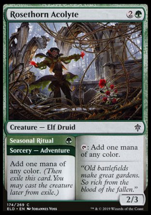 (174/269) Magic The Gathering Throne of Eldraine Single: Rosethorn Acolyte // Seasonal Ritual Holo Common