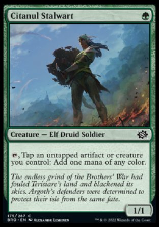 (175) Magic The Gathering The Brothers' War Single: Citanul Stalwart Holo Common