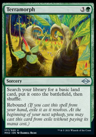 (177) Magic The Gathering Modern Horizons 2 Single: Terramorph Holo Uncommon