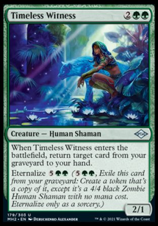 (179) Magic The Gathering Modern Horizons 2 Single: Timeless Witness Holo Uncommon