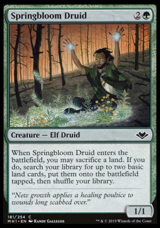 (181/254) Magic The Gathering Modern Horizons Single: Springbloom Druid  Common