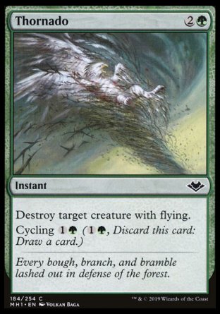 (184/254) Magic The Gathering Modern Horizons Single: Thornado  Common