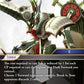 (105) Final Fantasy TCG From Nightmares Single: Ark (19-105) Holo Hero