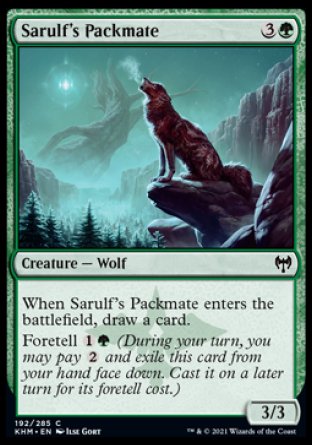 (192/285) Magic The Gathering Kaldheim Single: Sarulf's Packmate  Common