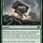 (196) Magic The Gathering The Brothers' War Single: Wasteful Harvest  Common